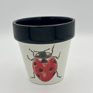 May include: White ceramic flower pot with a black rim, featuring a hand-drawn ladybug illustration. The ladybug is red with black spots and a black head. The pot is suitable for small plants or as a decorative item.