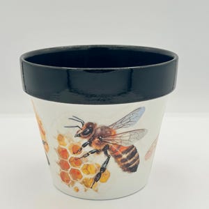 May include: White ceramic flower pot with a black rim. The pot features a detailed illustration of a honey bee on a honeycomb. The bee is brown and yellow with translucent wings. The pot is designed for planting flowers or herbs.