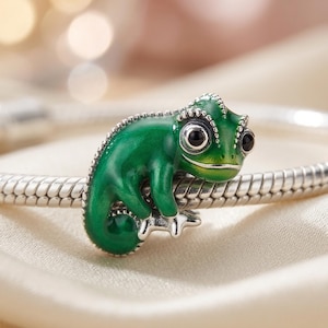 Pascal Inspired Charm S925 Silver, Color Changing Enamel Bead, Necklace Bracelet Pendant, Chameleon Jewelry, Birthday Gift Idea