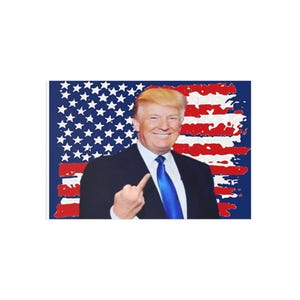 Cartoline artistiche con umorismo politico, biglietti d'auguri divertenti, arte con la bandiera americana, meme di Trump, oggetti da collezione unici