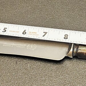 Pu&ograve; includere: Un coltello in acciaio inossidabile con manico argentato, lungo circa 30 cm. Il coltello &egrave; posizionato accanto a un metro a nastro, che ne indica le dimensioni. Il manico ha un aspetto ossidato.