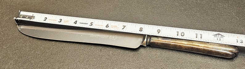 Pu&ograve; includere: Un coltello in acciaio inossidabile con manico argentato, lungo circa 30 cm. Il coltello &egrave; posizionato accanto a un metro a nastro, che ne indica le dimensioni. Il manico ha un aspetto ossidato.
