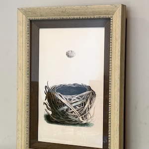 May include: Framed print featuring a detailed illustration of a bird's nest and a single egg. The artwork is in a vintage style, with a neutral color palette of browns, greens, and whites. The frame is a light beige with a textured appearance.