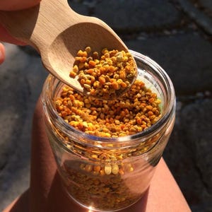 May include: A glass jar filled with golden-yellow bee pollen, held by a wooden scoop. The pollen has a granular texture and appears fresh. The jar is held in sunlight, creating a warm, inviting image.