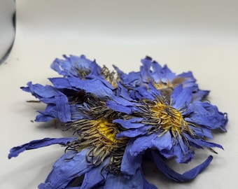 Dried Blue Lotus Flower Petals: Herbal Tea, DIY Crafts & Decor