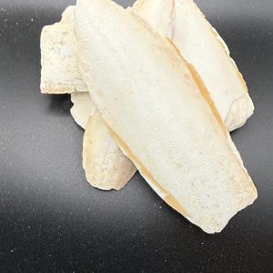 May include: A collection of off-white, oblong cuttlebone pieces, with a textured surface and a hint of tan along the edges. The pieces are arranged on a dark background, showcasing their natural form.