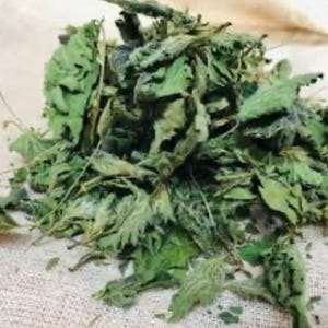 Könnte beinhalten: Ein Haufen getrockneter grüner Blätter, möglicherweise Kräuter oder Tee, mit einer strukturierten Oberfläche. Die Blätter variieren in Größe und Form, einige sind ganz, andere fragmentiert. Die Farbe reicht von hell- bis dunkelgrün, was auf unterschiedliche Trocknungsstadien hindeutet.