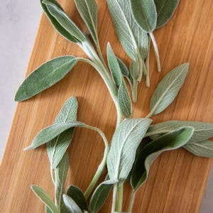 Dried Salvia Sage Leaves Loose Premium Culinary Herb for Smudging Tea Seasoning Crafts and Natural Home Fragrance