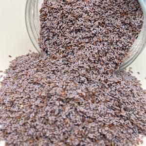 Whole Psyllium Seeds Natural Bulk | Pure Fiber Husk Alternative | Raw Dry Plant Seeds for Tea Craft DIY Recipes
