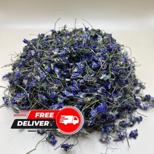 Dried Sweet Violet Flowers Edible Floral Tea Organic Purple Petals for Craft Soap Resin Botanical Decor Natural Wildcrafted Bulk