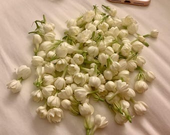 Dried Jasmine Flower Buds, Herbal Tea, Floral Crafts
