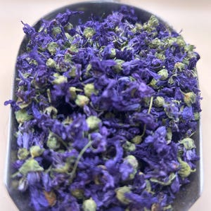 May include: A metal scoop filled with dried blue mallow flowers and green buds. The flowers are a vibrant purple-blue color, and the buds are a pale green. The scoop is made of a shiny, silver-colored metal.