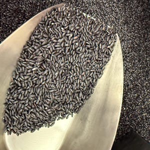 Black Rice Natural Whole Grain | Aromatic Purple Rice for Salads Cooking Baking DIY Pantry