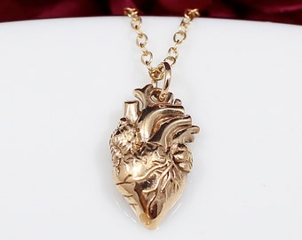 Gold Anatomical Heart Necklace - Realistic Heart Necklace in Bronze on a 14k Gold Filled Chain