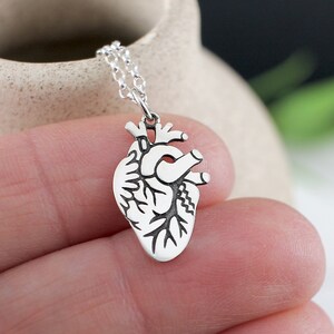 Anatomical Heart Necklace in sterling silver, Realistic Heart, Gift for heart transplant, heart doctor nurse gift, heart awareness