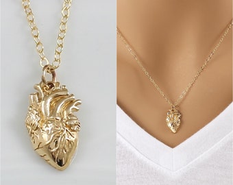 Gold Anatomical Heart Necklace - Realistic Heart Necklace in Bronze on a 14k Gold Filled Chain