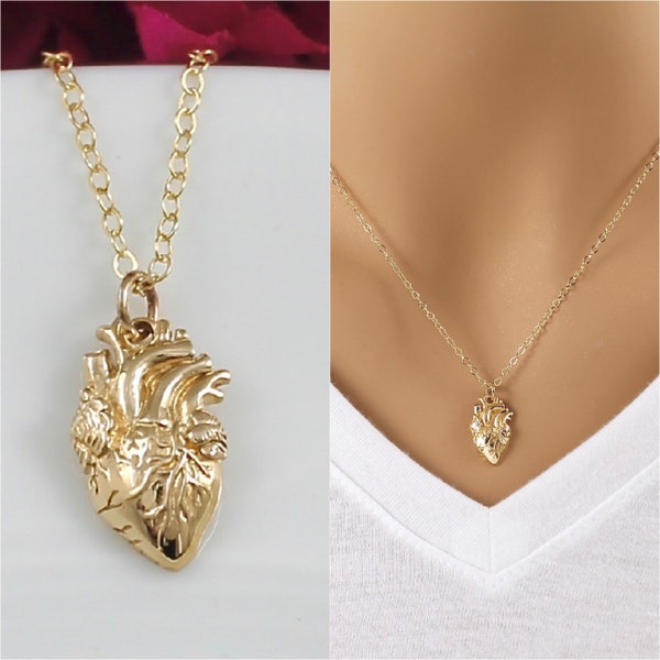 Gold Anatomical Heart Necklace - Realistic Heart Necklace in Bronze on a 14k Gold Filled Chain