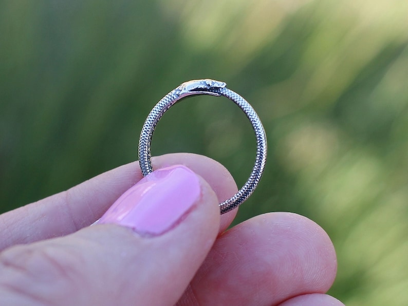 Ouroboros Ring Necklace, Snake Ring Necklace