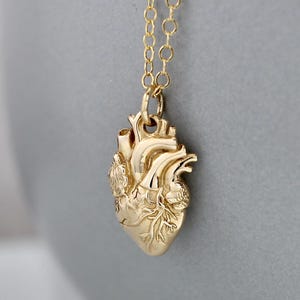 Gold Anatomical Heart Necklace - Realistic Heart Necklace in Bronze on a 14k Gold Filled Chain