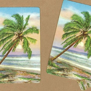 PALMERA en la playa (3) Naipes vintage de un solo uso, efímeros de papel
