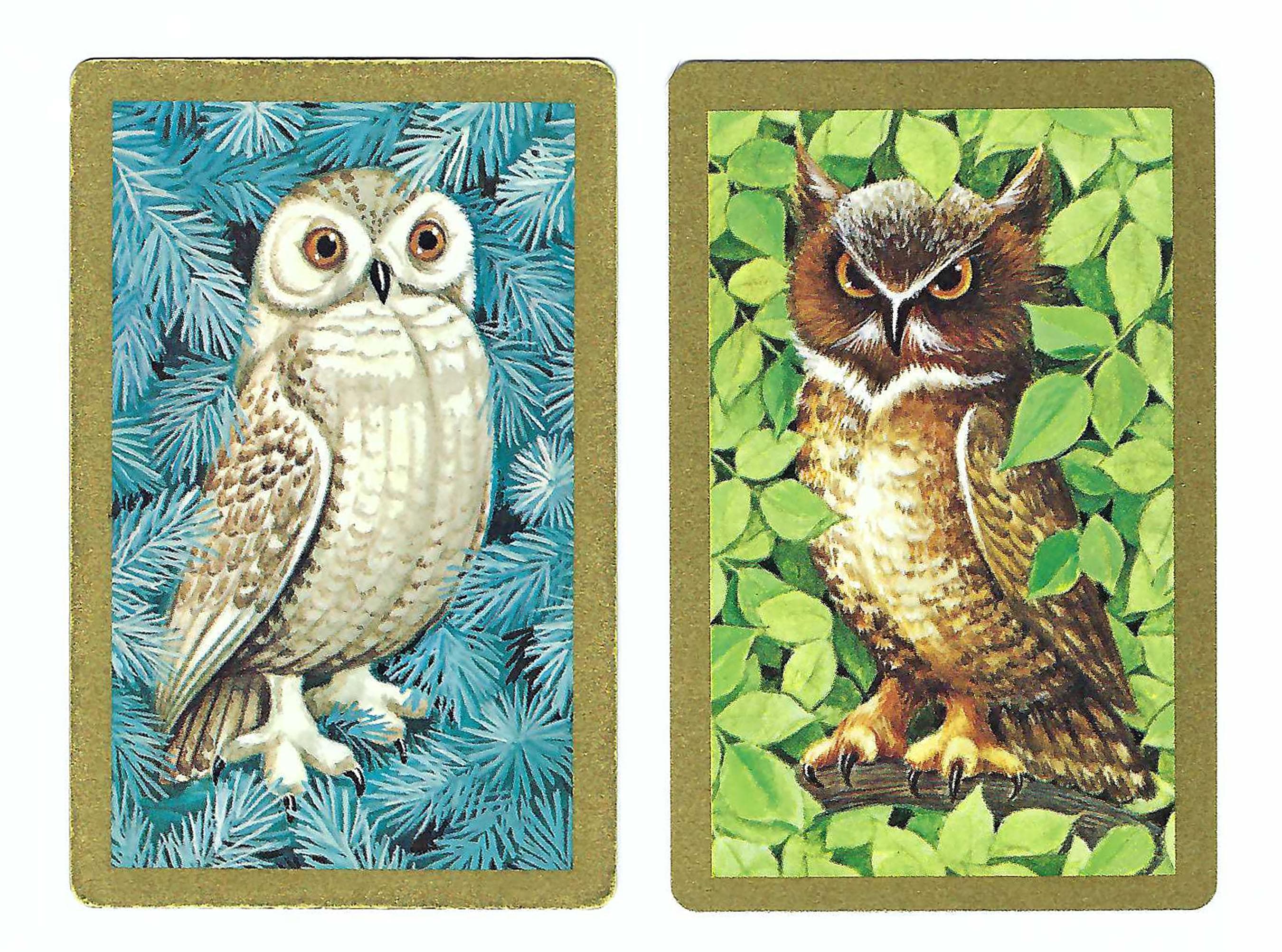 OWLS (2) Vintage Single Swap Playing Cards Paper Ephemera