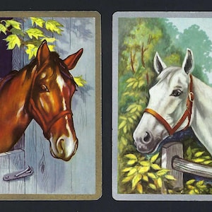 May include: Two vintage playing cards featuring horse illustrations. One card shows a brown horse with a white blaze, wearing a red bridle, and peering out of a stable. The other card depicts a white horse with a red bridle, set against a backdrop of trees.