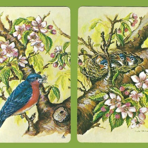 May include: A pair of vintage playing cards featuring a bluebird with a red breast perched on a branch with pink blossoms and a nest with baby bluebirds in a tree.