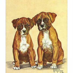 Puede incluir: Ilustraci&oacute;n de estilo vintage de dos cachorros Boxer. Los cachorros tienen pelaje marr&oacute;n y blanco, orejas ca&iacute;das y una expresi&oacute;n dulce. El fondo es amarillo claro y la imagen tiene un borde decorativo. La firma del artista es visible.