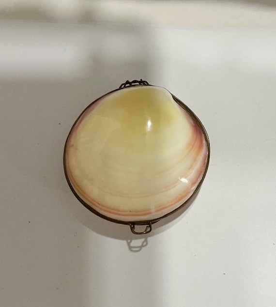 Sea Shell Pill Box with Clasp - 2 1/2 Inch - image 4