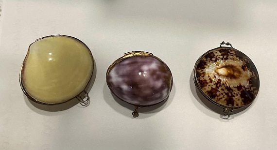 Sea Shell Pill Box with Clasp - 2 1/2 Inch - image 1