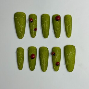May include: Ten artificial nails in a light green color, resembling leaves, are arranged on a white surface. Each nail features a leaf vein design, water droplets, and a red and black ladybug. The nails are oval-shaped.