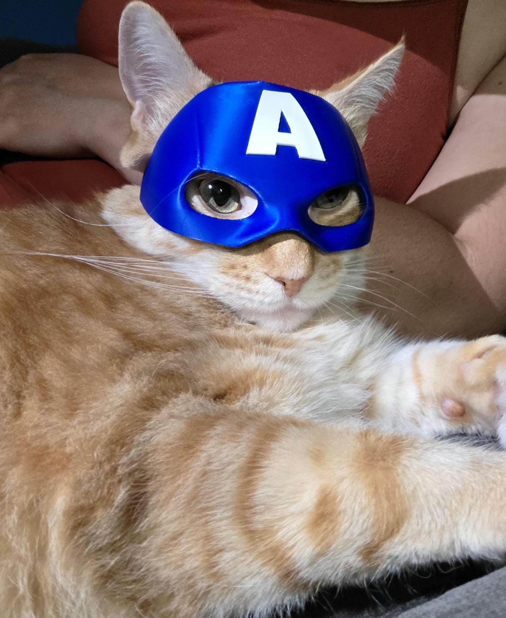 Cat Avengers