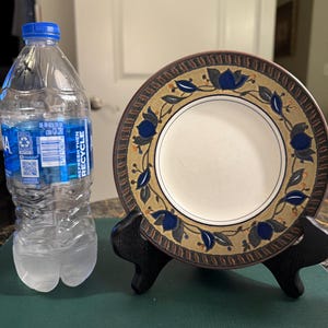 Könnte beinhalten: Ein dekorativer Teller mit weißer Mitte und einem gemusterten Rand mit blauen floralen Designs und braunen Akzenten. Der Teller wird auf einem schwarzen Ständer neben einer transparenten Plastikwasserflasche präsentiert.