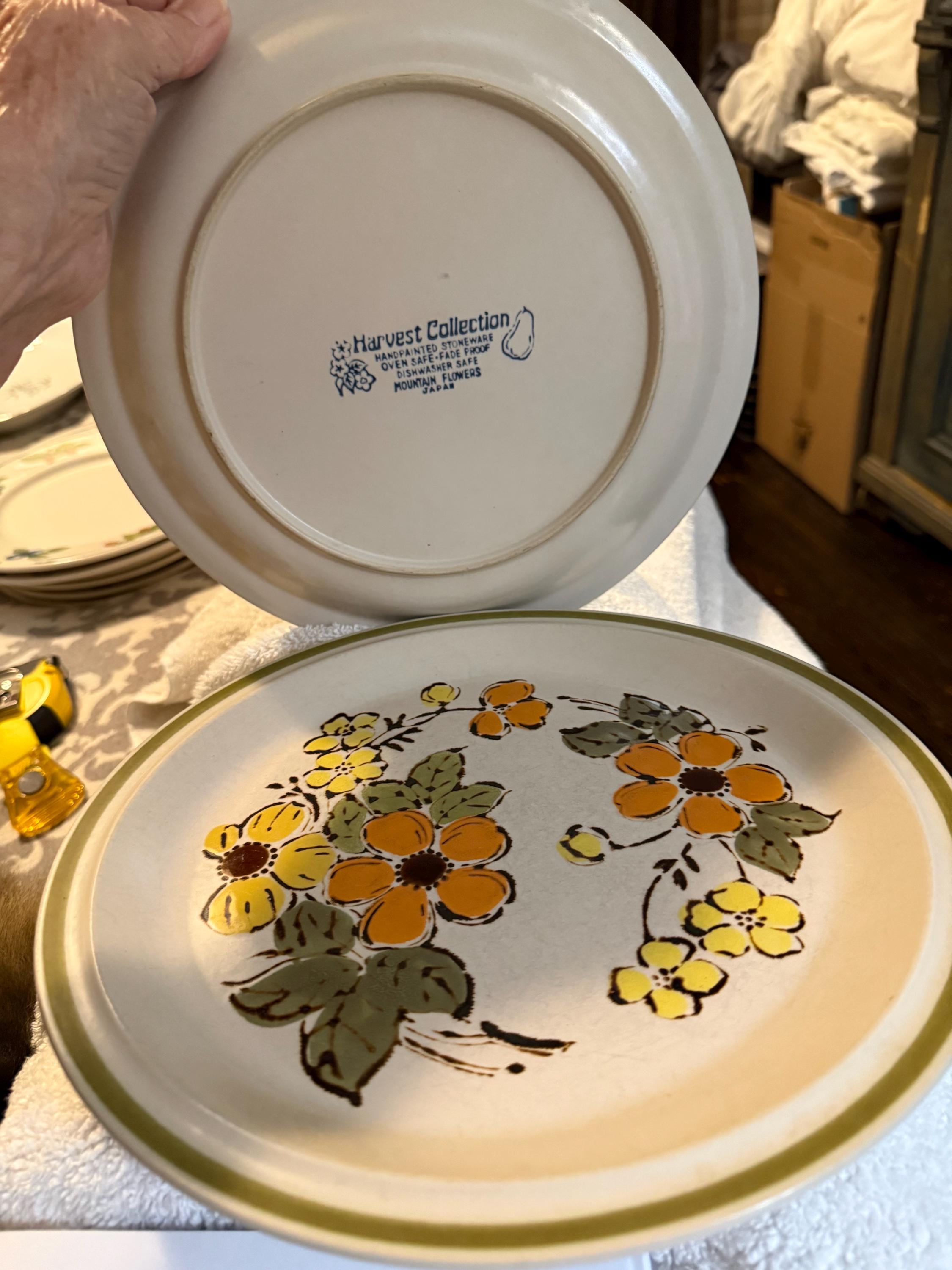 Harvest Collection Dinner Plates - Etsy