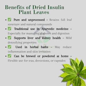 May include: Image detailing the benefits of dried insulin plant leaves. Text highlights the plant's uses in Ayurvedic medicine, supporting liver and kidney health, and its use in herbal baths. A green plant with multiple leaves is in the bottom right corner.