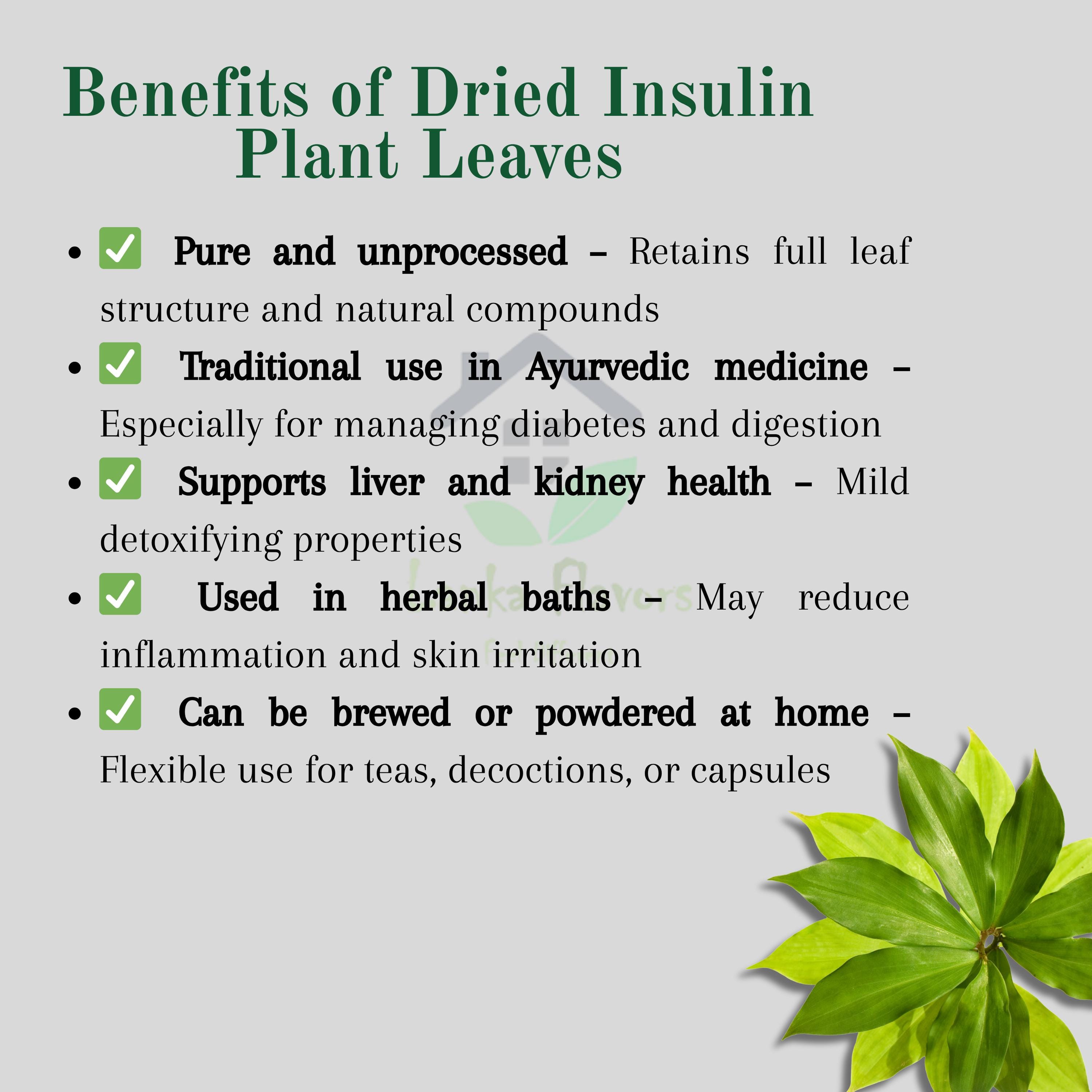 Dried Insulin Plant Leaves: Natural Herbal Tea for Sugar Control - Etsy