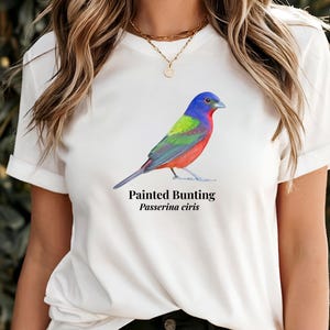 Op de afbeelding: Wit T-shirt met een kleurrijke illustratie van een Painted Bunting vogel. De vogel heeft blauwe, groene, rode en gele veren. De tekst "Painted Bunting Passerina ciris" staat eronder. Het T-shirt heeft korte mouwen.