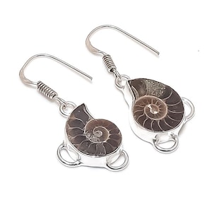 Natural Ammonite Fossil Earrings, Leaf Shape Brown Gemstones, 925 Sterling Silver Earring, Gift For Best Friend