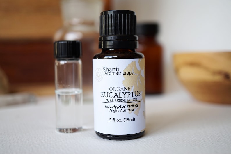 May include: A small brown glass bottle with a black cap containing organic eucalyptus essential oil. The label is white with black text and reads "Shanti Aromatherapy, Organic Eucalyptus, Pure Essential Oil, Eucalyptus radiata, Origin: Australia, .5 fl oz. (15ml)"