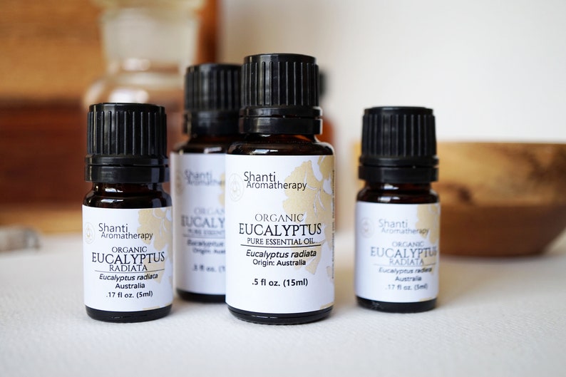 May include: Four amber glass bottles of organic eucalyptus radiata essential oil with black caps and white labels. The labels have the brand name "Shanti Aromatherapy" and the product name "Organic Eucalyptus Radiata". The bottles are on a white surface.