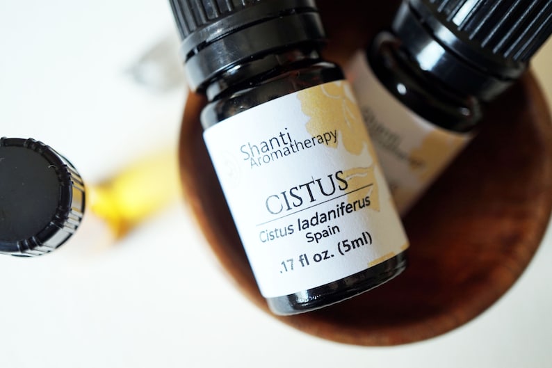 Cistus Essential Oil Rock Rose Pure Essential Oil 5ml | Etsy