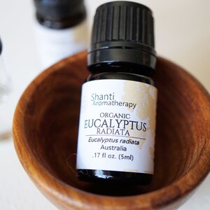 May include: A small, clear glass bottle with a black cap filled with organic Eucalyptus Radiata essential oil. The bottle is sitting in a small wooden bowl. The label on the bottle reads "Shanti Aromatherapy Organic Eucalyptus Radiata Eucalyptus radiata Australia .17 fl oz. (5ml)"