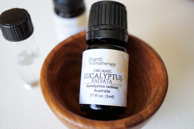 May include: A small, clear glass bottle with a black cap filled with organic Eucalyptus Radiata essential oil. The bottle is sitting in a small wooden bowl. The label on the bottle reads "Shanti Aromatherapy Organic Eucalyptus Radiata Eucalyptus radiata Australia .17 fl oz. (5ml)"
