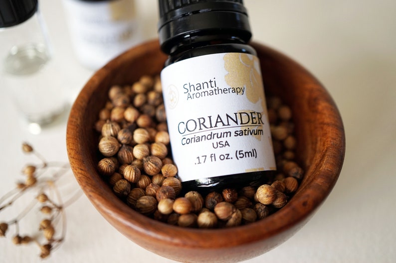 Coriander Essential Oil Pure Essential Oil Aromatherapy Etsy