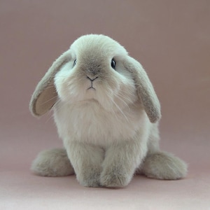 bunny realistic toy, plush handmade poseable rabbit