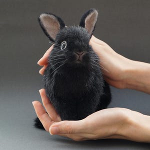 Realistic rabbit toy, Poseable plush bunny, stuffed cute animal