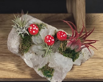 Crystal Air Plant Garden – Quartz Cluster, Red Mushrooms, Forest Decor