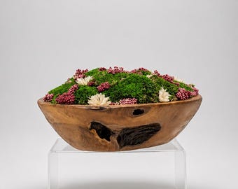 Blush Preserved Moss Bowl Arrangement | Botanical Wood Bowl Decor | Nature Inspired Centerpiece