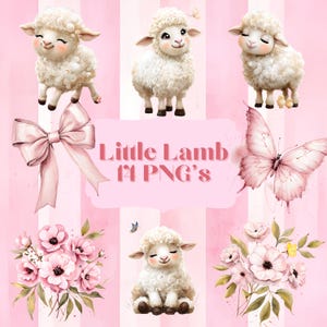 Lamb Clipart Bundle, Watercolor Lamb Images, Cute Lamb PNG, Sheep Clipart, Lamb Nursery Art, Baby Animal Clipart