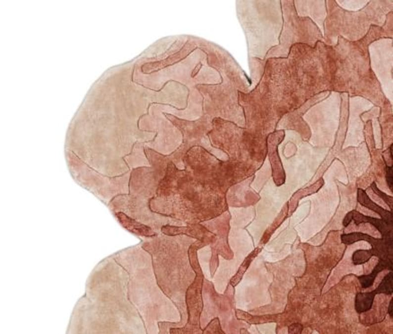 May include: Close-up of a rug with a floral design. The rug features a color palette of muted reds, browns, and beige, with a textured appearance. The design has an abstract, organic shape, resembling a flower or petal.